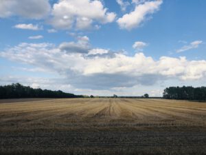 blick zum thurauer berg