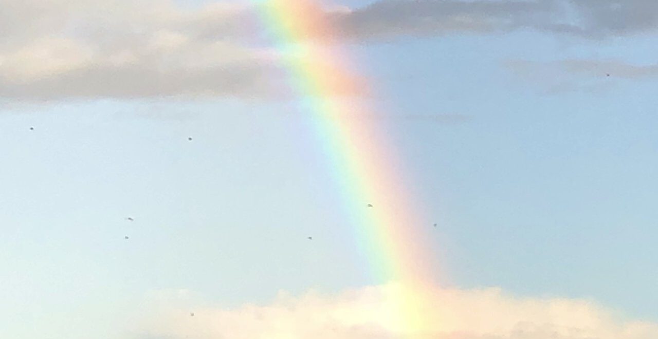 regenbogen