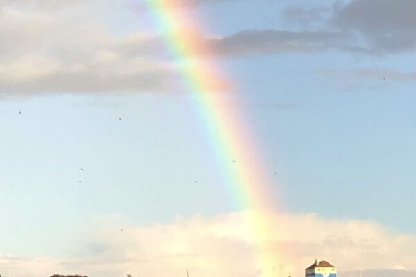 regenbogen