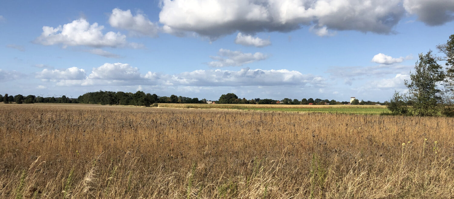 panorama blick von süden