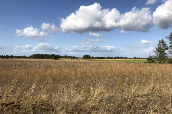 panorama blick von süden